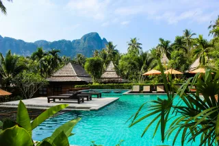Resort pool surrounded by palm trees